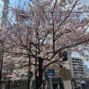 ヒメ日記 2026/03/30 19:15 投稿 こはる ごほうびSPA横浜店