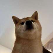 ヒメ日記 2026/03/31 06:04 投稿 こはる ごほうびSPA横浜店