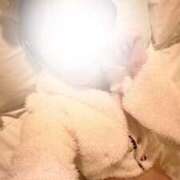 ヒメ日記 2025/12/14 01:27 投稿 みさ DIVAセカンドシーズン日立店