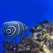 ヒメ日記 2026/04/10 18:52 投稿 赤福あんこ アロー