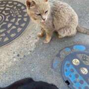 赤福あんこ 😭 アロー