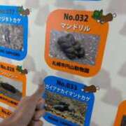 ヒメ日記 2026/09/29 17:31 投稿 赤福あんこ アロー