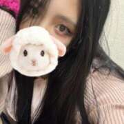 ヒメ日記 2025/12/14 04:15 投稿 ことは Gossip girl