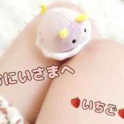 ヒメ日記 2026/03/05 16:10 投稿 いちご 風俗の神様　浜松店