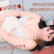 ヒメ日記 2026/03/22 14:40 投稿 いちご 風俗の神様　浜松店