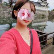 ヒメ日記 2025/12/28 08:10 投稿 みのり 贅沢なひと時