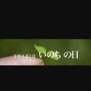 ヒメ日記 2026/03/11 00:02 投稿 浜辺さりな 五十路マダム 新潟店(カサブランカグループ)