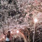 ヒメ日記 2026/03/29 18:32 投稿 浜辺さりな 五十路マダム 新潟店(カサブランカグループ)