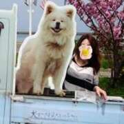 ヒメ日記 2026/04/01 12:06 投稿 浜辺さりな 五十路マダム 新潟店(カサブランカグループ)