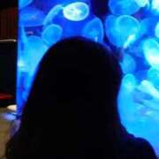 ヒメ日記 2026/04/03 10:20 投稿 浜辺さりな 五十路マダム 新潟店(カサブランカグループ)