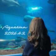 ヒメ日記 2026/04/03 13:40 投稿 浜辺さりな 五十路マダム 新潟店(カサブランカグループ)