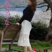 ヒメ日記 2026/04/08 06:20 投稿 浜辺さりな 五十路マダム 新潟店(カサブランカグループ)