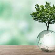 ヒメ日記 2025/12/15 04:17 投稿 伊央里 OL物語