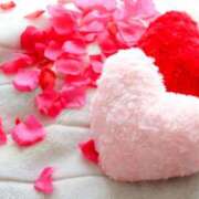 ヒメ日記 2025/12/29 23:04 投稿 五十鈴 OL物語