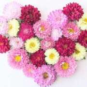 ヒメ日記 2025/12/23 02:14 投稿 藍香 OL物語