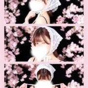 ヒメ日記 2026/07/20 09:00 投稿 もか THE ESUTE 五反田店