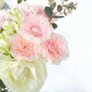 ヒメ日記 2025/12/15 23:04 投稿 日々輝 OL物語