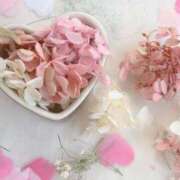 ヒメ日記 2025/12/16 00:46 投稿 日々輝 OL物語