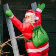 ヒメ日記 2025/12/25 04:09 投稿 日々輝 OL物語