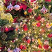 ヒメ日記 2025/12/15 20:58 投稿 志音 OL物語