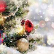 ヒメ日記 2025/12/14 22:54 投稿 七瀬 OL物語