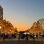 ヒメ日記 2025/12/14 01:41 投稿 紗久良 OL物語