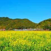 ヒメ日記 2025/12/17 01:53 投稿 静香 OL物語