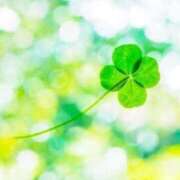 ヒメ日記 2026/01/18 21:18 投稿 よつば チューリップ土浦店