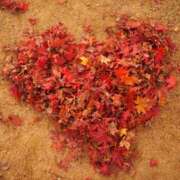 ヒメ日記 2025/12/19 01:55 投稿 詩乃歩 OL物語