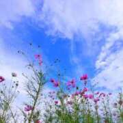 ヒメ日記 2025/12/22 02:18 投稿 詩乃歩 OL物語