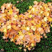 ヒメ日記 2025/12/18 05:44 投稿 日登美 OL物語