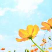 ヒメ日記 2025/12/14 04:26 投稿 広葉 OL物語