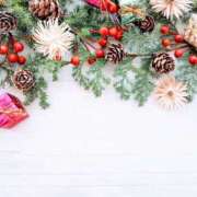 ヒメ日記 2025/12/19 17:04 投稿 広葉 OL物語