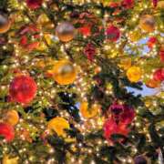 ヒメ日記 2025/12/19 01:42 投稿 日香里 OL物語