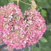 日香里 退勤です OL物語