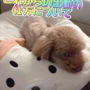 ヒメ日記 2026/05/12 13:16 投稿 すず Lolipop（ロリポップ）