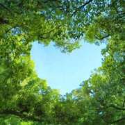 ヒメ日記 2025/12/19 22:55 投稿 志桜里 OL物語