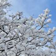 ヒメ日記 2025/12/20 05:29 投稿 志桜里 OL物語