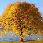 ヒメ日記 2026/01/17 14:29 投稿 伊藤 なずな プルプルハウス