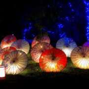 ヒメ日記 2025/12/14 16:21 投稿 慶子 OL物語