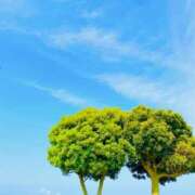 ヒメ日記 2025/12/17 23:56 投稿 慶子 OL物語