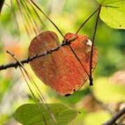 ヒメ日記 2025/12/17 22:36 投稿 しの OL物語