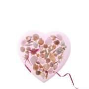 しの こんにちは♡ OL物語