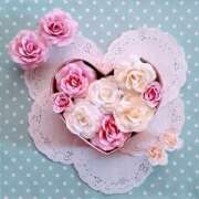 ヒメ日記 2025/12/13 20:20 投稿 のぞみ OL物語