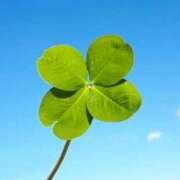 ヒメ日記 2025/12/16 22:02 投稿 のぞみ OL物語