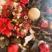 ヒメ日記 2025/12/26 18:01 投稿 のぞみ OL物語