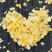 ヒメ日記 2025/12/14 20:26 投稿 まゆみ OL物語