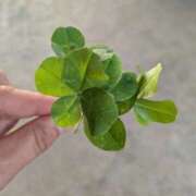 ヒメ日記 2025/12/15 03:29 投稿 まゆみ OL物語