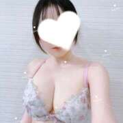 ヒメ日記 2025/12/17 12:00 投稿 かおる 新橋フェアリーズ