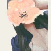 ヒメ日記 2025/12/13 07:03 投稿 やしろ 沖縄素人図鑑